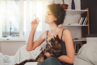  Quali sono gli effetti del fumo passivo su cani e Gatti? 