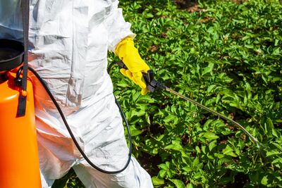  Glifosato: potrebbe cambiare tutto sulla sicurezza del diserbante più usato al mondo 