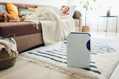  Umidificatori e purificatori per l'autunno: i 5 migliori modelli per un'aria sana in casa 