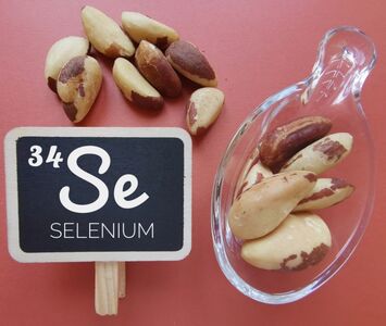  Selenio: Funzioni, Quanto ne Serve e Dove si Trova 