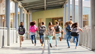  Dal criceto morto alla proposta di matrimonio con anello di diamanti: ecco le cose più assurde portate in classe dagli studenti 