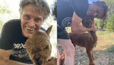  L’attore Willem Dafoe apre una fattoria “etica” per il benessere degli animali 
