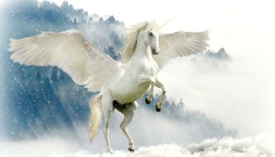  Giornata Mondiale dell'Unicorno: come nasce e qual è il significato di questa 'mitica' ricorrenza 