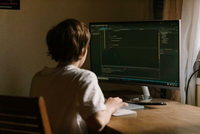  Violano i siti delle big tech, a capo degli hacker c'era un 16enne 
