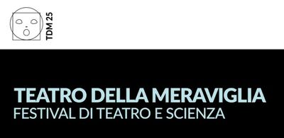  Call spettacoli festival Teatro della Meraviglia 