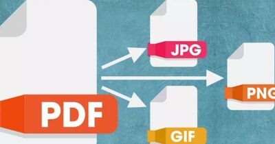  Come Salvare ed estrarre immagini da un PDF 