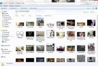  Vedere le anteprime delle Immagini nelle cartelle Windows 
