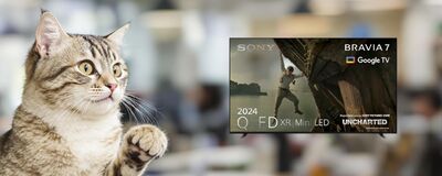  Sony BRAVIA 7 QLED 65' in offerta: qualità premium a un prezzo scontato 