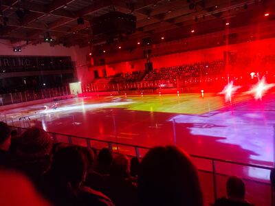  Van Gogh on Ice: Un’Incantevole Fusione di Arte e Cultura al PalaTazzoli di Torino