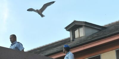 Ci sono infine delle Linee Guida sugli spazi per l'affettività in carcere 