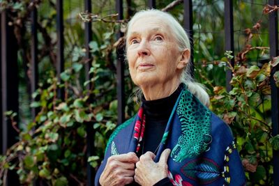  È morta l'attivista e scienziata Jane Goodall 