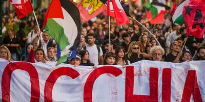  Perché in Italia c'è molto più interesse sulla Flotilla 