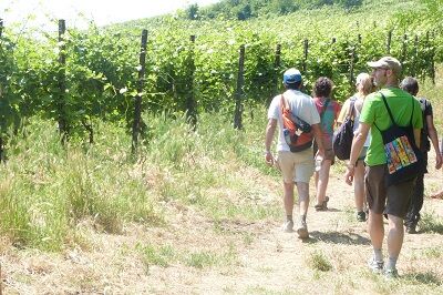  Camminare viaggiando la vita 