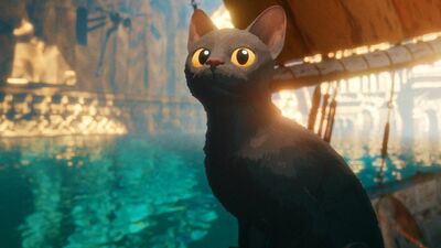  Il regista di Flow parla del sequel: 'non voglio diventare il regista dei film sui gatti' 