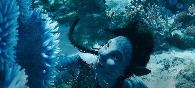  Disney Italia svela le uscite del resto del 2022: Avatar e Avatar 2 in pompa magna! 