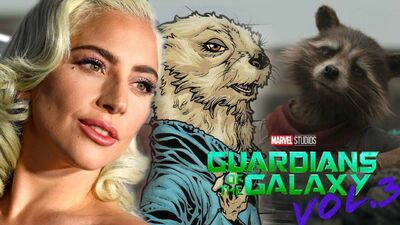 Guardiani della Galassia 3, Lady Gaga sarà la fidanzata di Rocket? Torna l'indiscrezione 