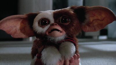  Gremlins 3 si farà: Warner Bros annuncia il nuovo capitolo della saga cult 