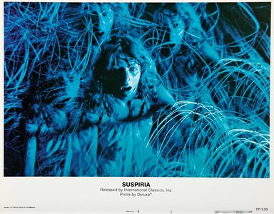  Film italiani Anni 70, ecco i migliori tra i cult dell'horror e le commedie 