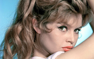  Brigitte Bardot compie 87 anni e la Francia dimentica di festeggiarla|Amica 