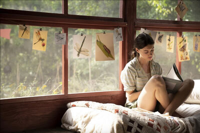  'La ragazza della palude': il film da vedere stasera in tv 