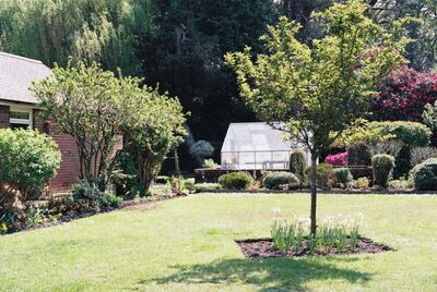  Ecco come dare un nuovo volto al tuo giardino | Futurosmart 