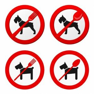  Bar e ristoranti: è legittimo vietare l'ingresso a Fido? 