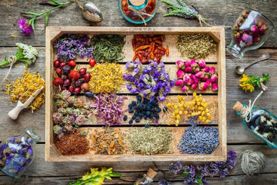  Montagna di Viaggi : Quali sono le Erbe officinali più richieste? Ecco elenco e proprietà 