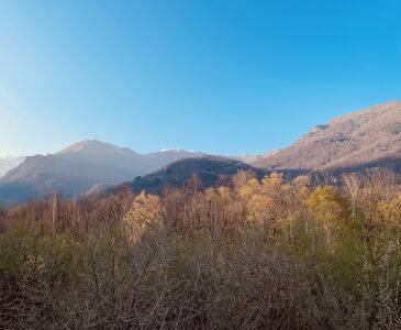  Immersi nel bosco: 2 indirizzi in Piemonte per una cena nella natura | Travel to Taste 
