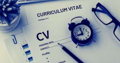  Compilare online il Curriculum Vitae, Europeo o personalizzato e unico 