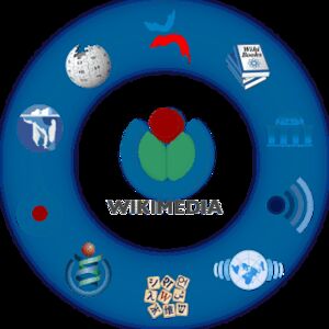  Wikipedia e il sostegno al patrimonio culturale italiano 