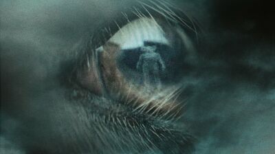  Lamb Recensione: Intrigante e Inquietante 