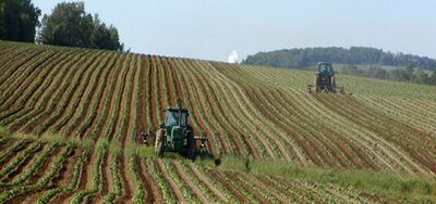  Voucher Inps/ Il ministro Calderone vorrebbe riformare il Lavoro agricolo: ecco Come 