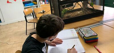  SCIENZ@SCUOLA/ Fare scienza in IV primaria. Il regno animale: percorso sui vertebrati 