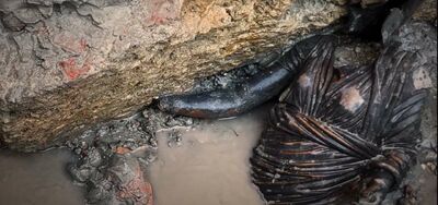  San Casciano e le 24 statue Di bronzo/ 'Ritrovamento più importante dai Bronzi Riace' 