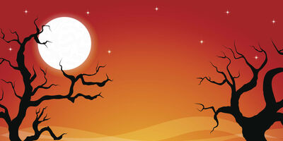  Halloween e 1 Novembre low cost in Italia: offerte viaggi tra natura e relax 