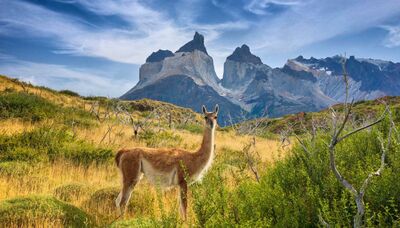  Una meta sorprendente: bella, economica e perfetta per febbraio 