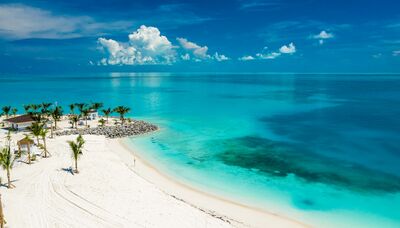  Ocean Cay MSC Marine Reserve: cosa fare sull’isola di MSC 