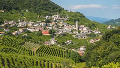  Cammino delle Colline del Prosecco: nel cuore del Veneto tra natura e degustazioni 
