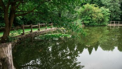  Questo parco italiano ottiene un prezioso riconoscimento: è simbolo di rinascita 