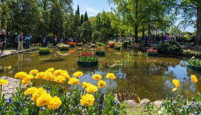  La fioritura di tulipani più spettacolare d'Europa? È in questo giardino italiano premiato 