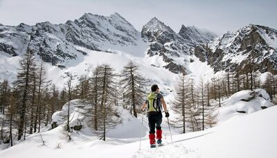 I 7 parchi naturali migliori d'Italia dove avventurarsi quest'inverno 