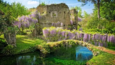  Il Giardino di Ninfa è un gioiello da scoprire: Cosa vedere 