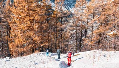  Viaggi sorprendenti per vivere la magia delle di Natale 2025: mete imperdibili 