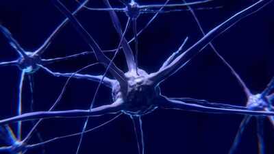  Alzheimer: uno Studio svela il legame con uno specifico tipo di zucchero 