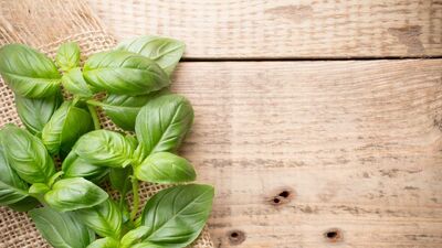  Utilizzare il basilico Per profumare casa: ecco come 
