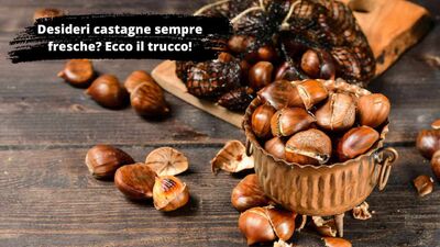 Il trucco vincente per avere delle castagne sempre fresche 