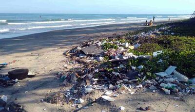  Stop alla Plastica, Cosa Cambia nei Supermercati dal 14 Gennaio 