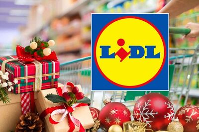  Lidl per questo Natale si è superata: corri al supermercato e non perdere la possibilità - INRAN 