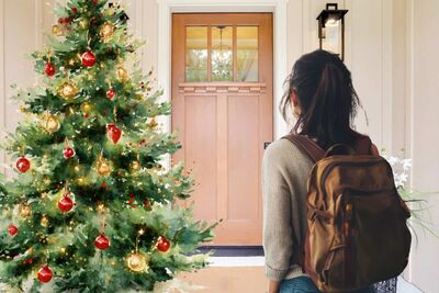  Vacanze di Natale, prima di chiudere la porta di casa ricorda assolutamente di fare questo - INRAN 