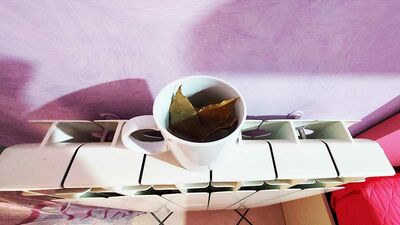  Questi profumatori sono veloci da fare e messi sul termosifone profumano tutta la stanza 